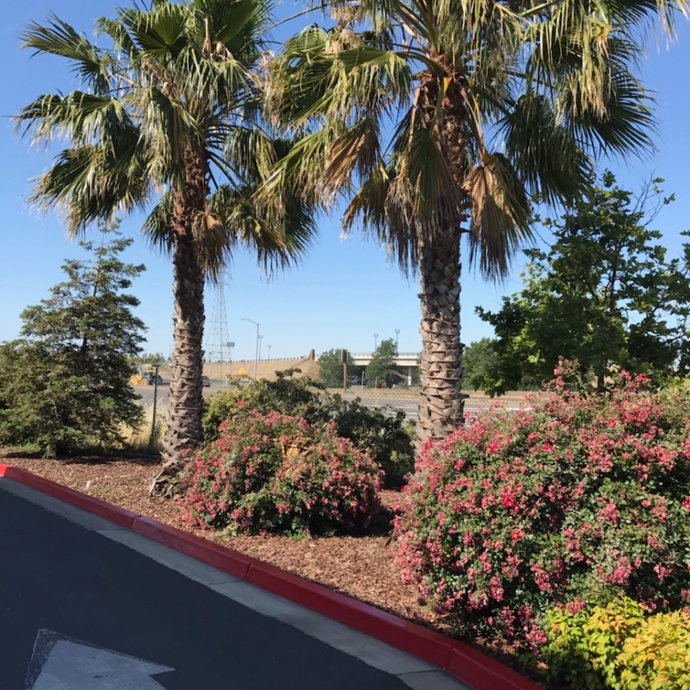 Meet your Posher, Joelle